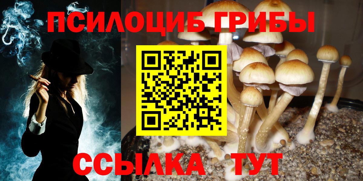 Соликамск  Псилоцибиновые грибы мухоморы  Вход с VPN  Псилоцибиновые грибы мухоморы 