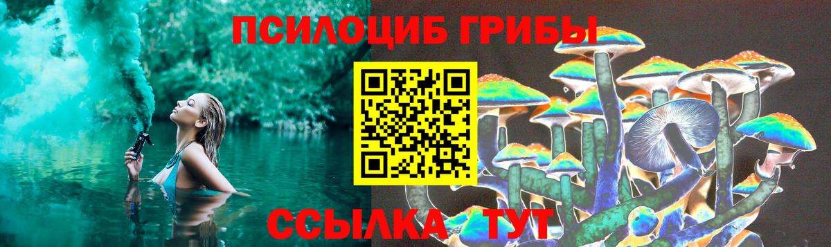 Псилоцибиновые грибы Psilocybe Соликамск